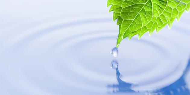 Water/Wastewater Industries - leaf with water drop